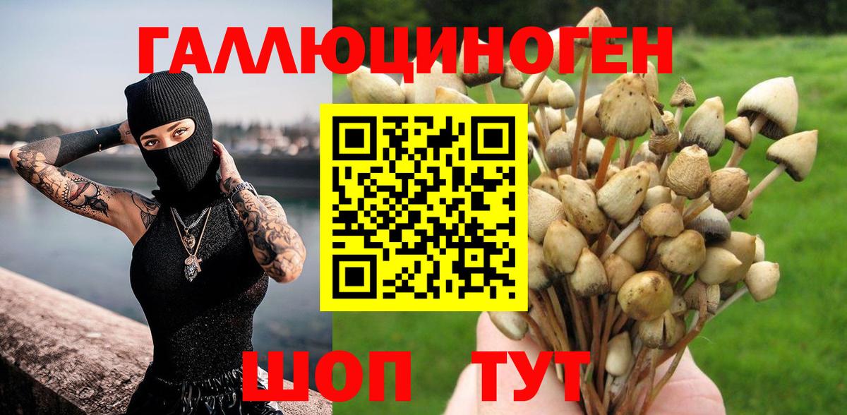 ГАШИШ  Курчатов  COCAIN  Лсд 25  Мефедрон   Вход с VPN  МАРИХУАНА  ЭКСТАЗИ  MDMA  Кодеин 