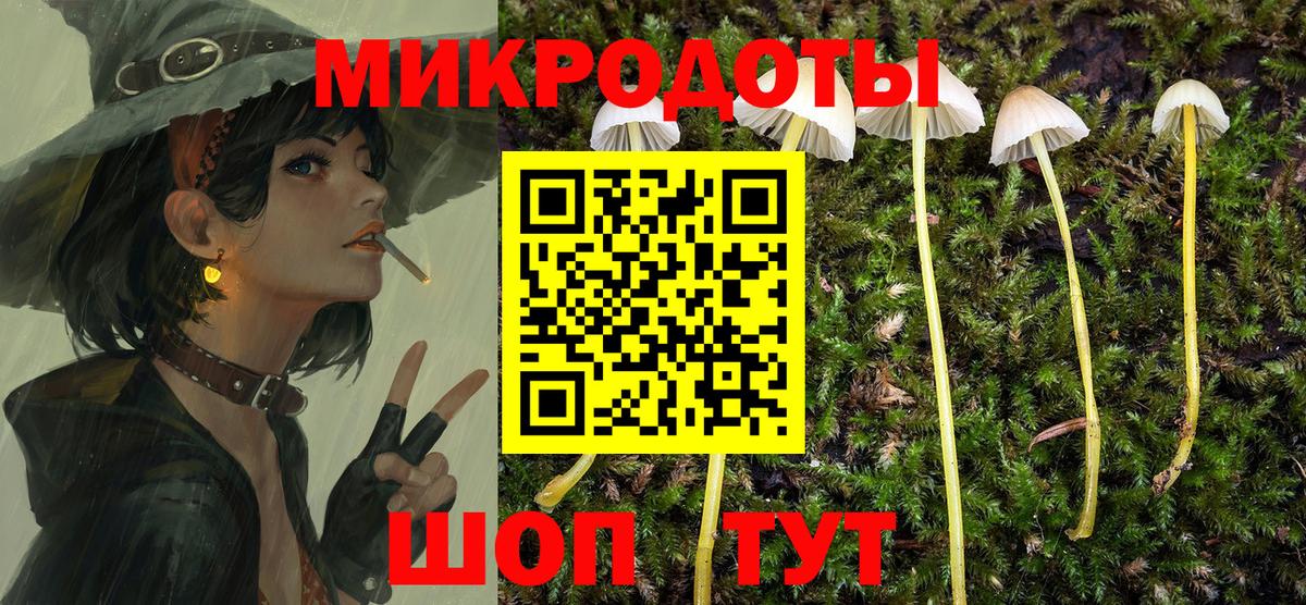 Галлюциногенные грибы GOLDEN TEACHER Курчатов